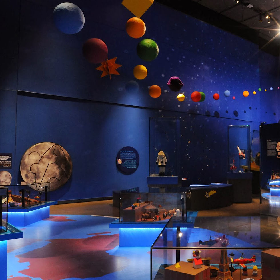 BOSCUS_mission cosmos_002