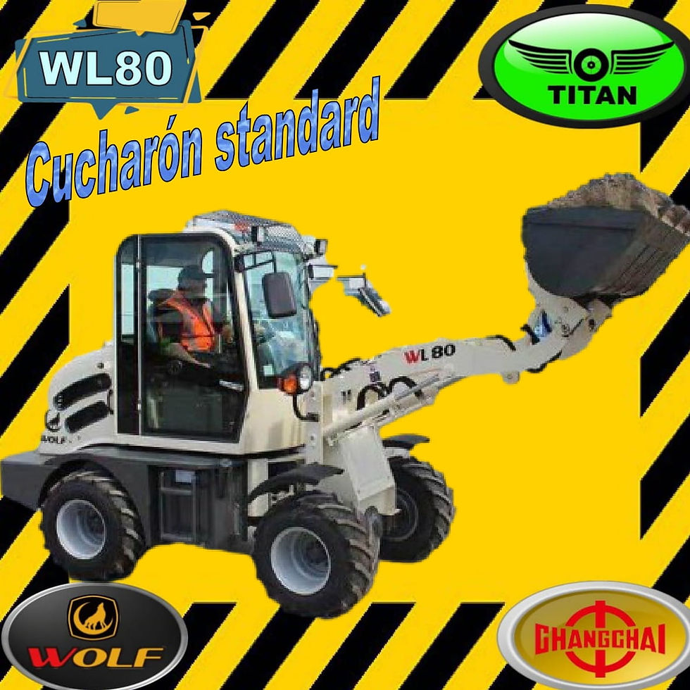 Miniatura: Marca Wolf, modelo WL8