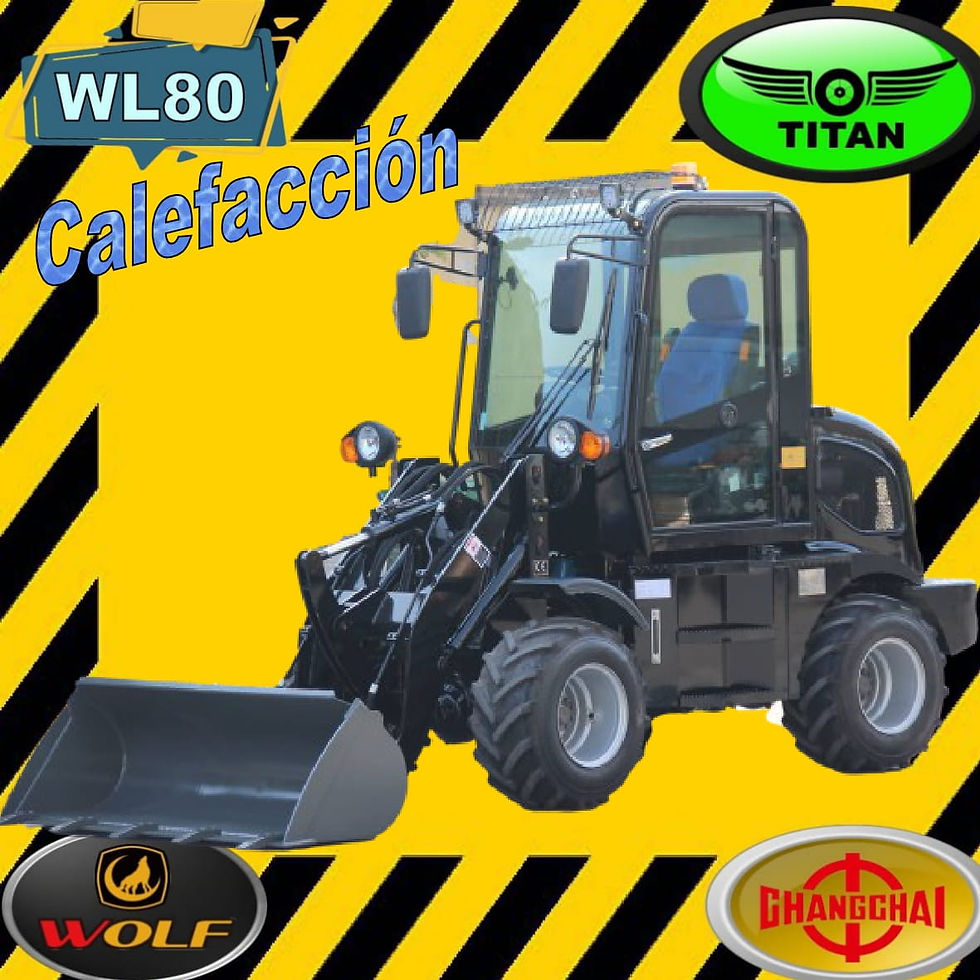 Miniatura: Marca Wolf, modelo WL8