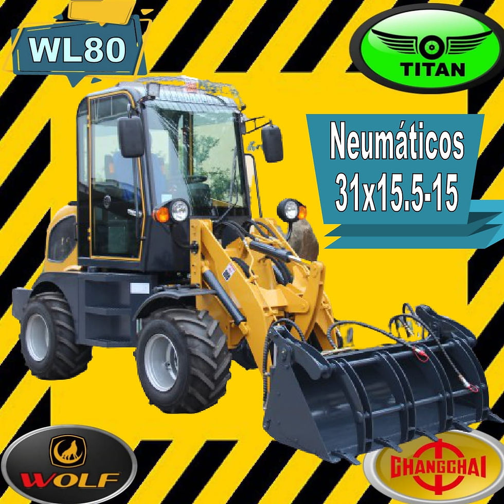 Miniatura: Marca Wolf, modelo WL8