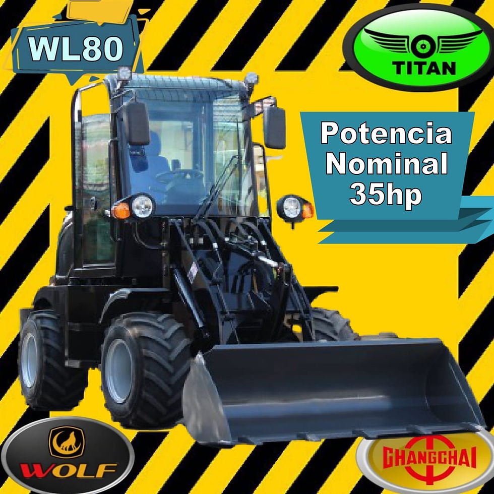 Miniatura: Marca Wolf, modelo WL8