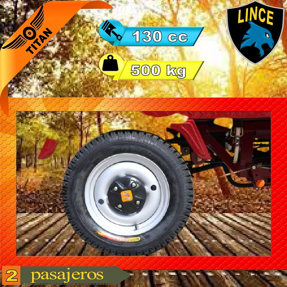 Miniatura: Marca Titan, modelo Lince