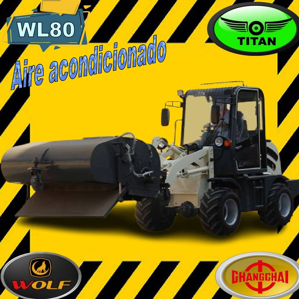 Miniatura: Marca Wolf, modelo WL8
