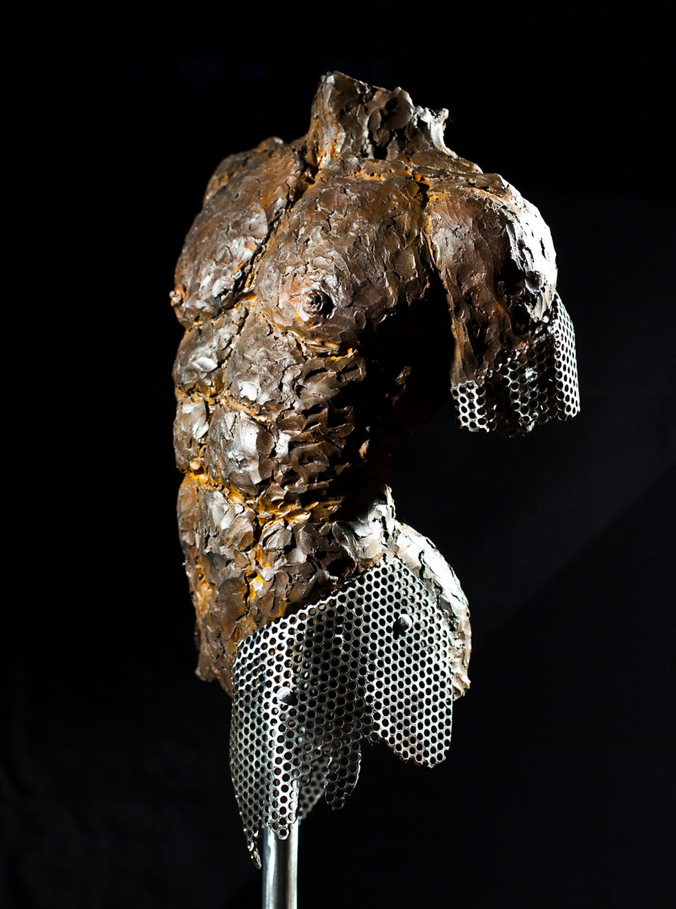 Miniature : L'homme de fer