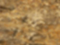 Golden Juparana