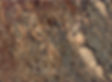 Crema Bordeaux
