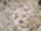 Bianco Antico