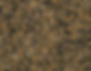 Tropical Brown
