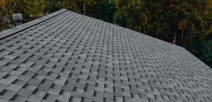 Roof Pressurewashing Services Anderson County SC.jpg