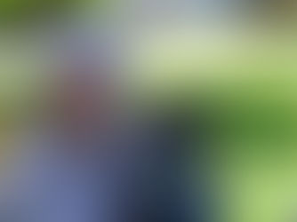 Love at first lick: Dogs find homes following adoption event at Bridgeport 