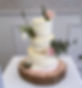 Lyttle Cakes - Bare Wedding Cake.jpg