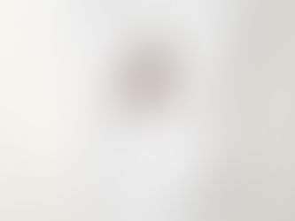 Best Price! Alice in Wonderland Blush Floral Personalized Baby Bodysuit