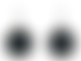 Big Deals! KIWI NEW ZEALAND FERN PAUA EARRINGS