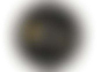 Big Deals! Black and Gold Hummingbird Lapel Pin