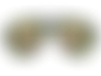 Top 10! funny novelty nerdy crazy frog eyes aviator sunglasses