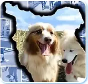 Logo éducateur canin manche