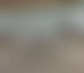 FAQ : Pourquoi mon chien tire-t-il en laisse ? Analyse professionnelle