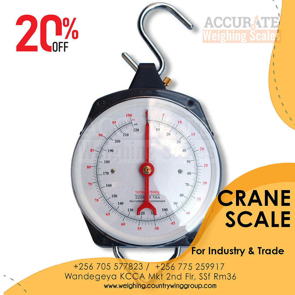Quality and efficient light duty dial crane weighing scale at jinja uganda