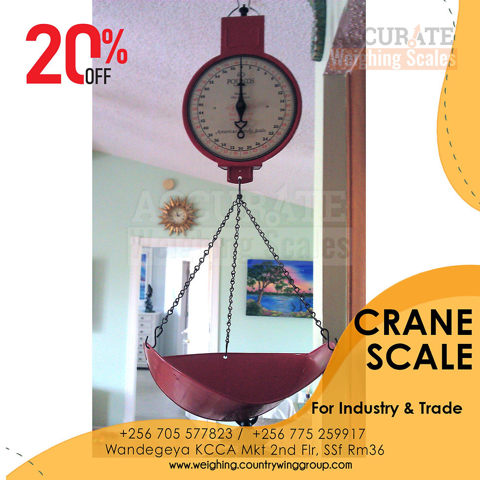 portable dial crane hanging scale with stainless steel housing Bulange Kampala