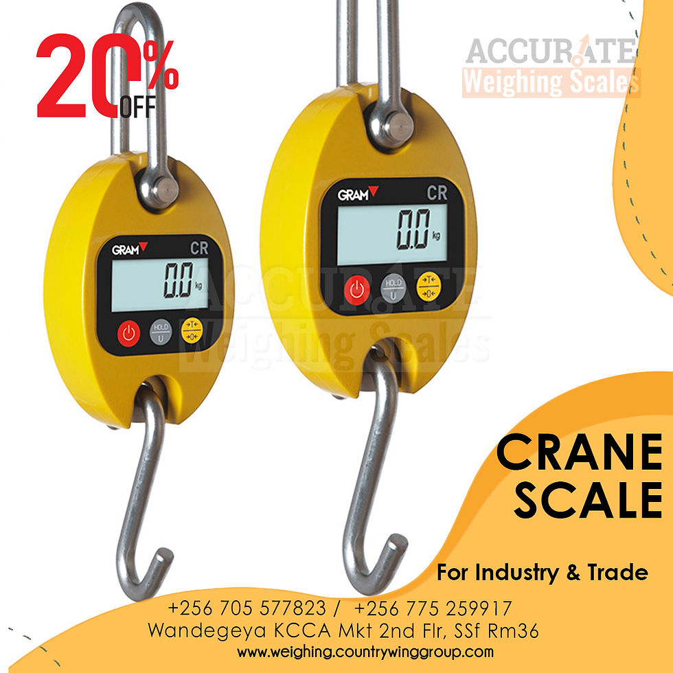 crane weighing scale with wireless remote-control display best selling price uganda
