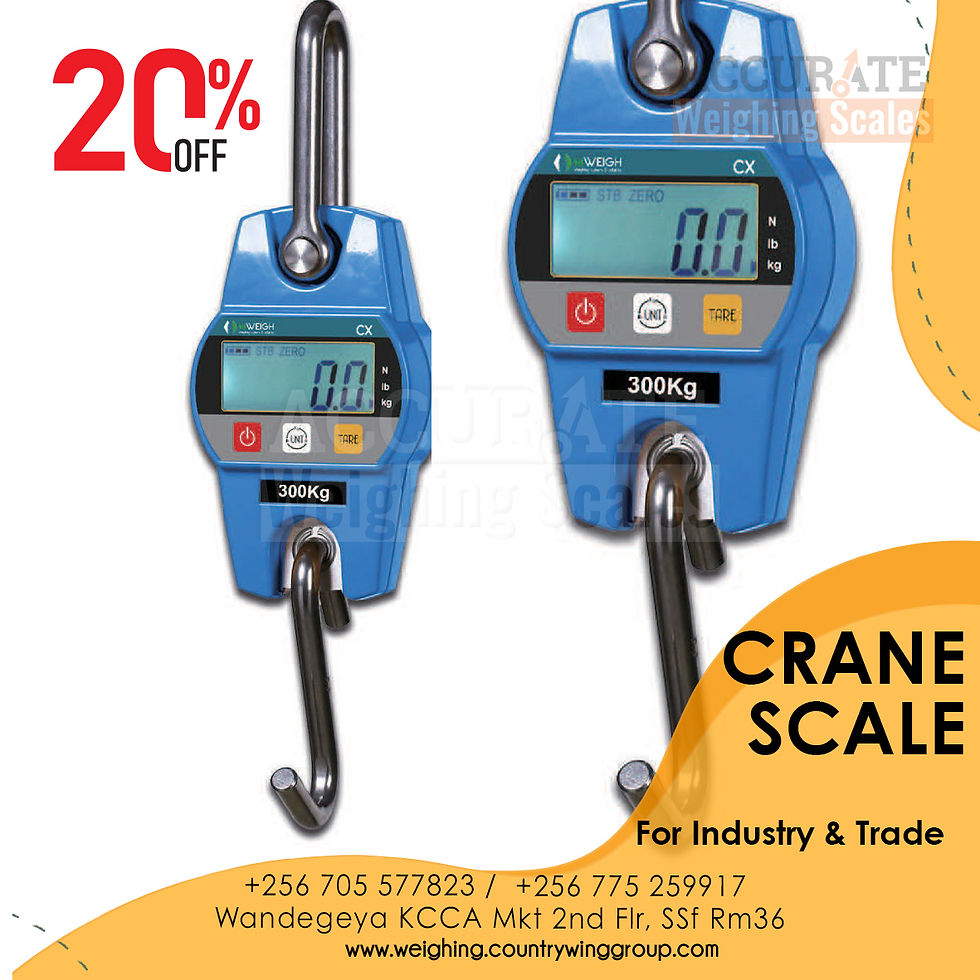 300kg digital crane weighing scale stainless steel hook in store for sell wandegeya