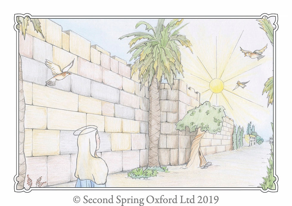 Thumbnail: The Joyful Meeting