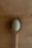 Pasture_Raised_Duck_Egg