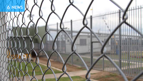 Common(wealth) Knowledge #116: High Court, Green Cards and Due Process