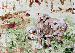 Rhino Oil on Card