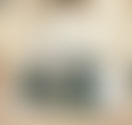 Día de las Naciones Unidas con el presidente emérito Gabriel Levitt, Manira Khalif 2017-2018 Observa