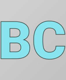 logo.png