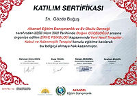 Neris Danışmanlık ve Koçluk - Gözde Buğuş - Doğan Cüceloğlu - Yeni Nesil Terapiler: Kabul ve Adanmışlık Terapisi - Zirve Psikoloji Sertifikası