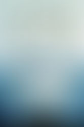 This Historical Novel Series will keep you reading