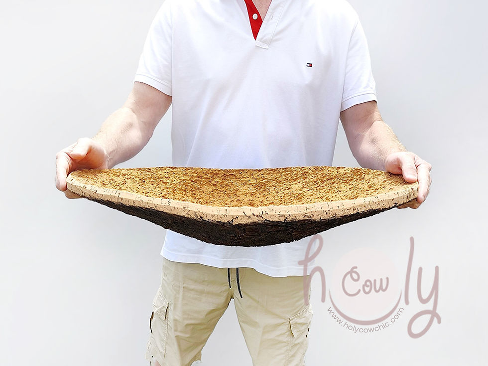 Thumbnail: Eco Friendly And Natural Cork Bark Bowl