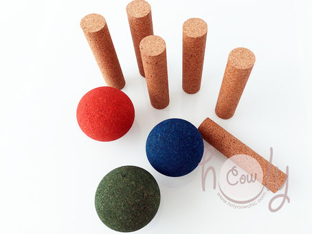 Eco Friendly and Fun Game!