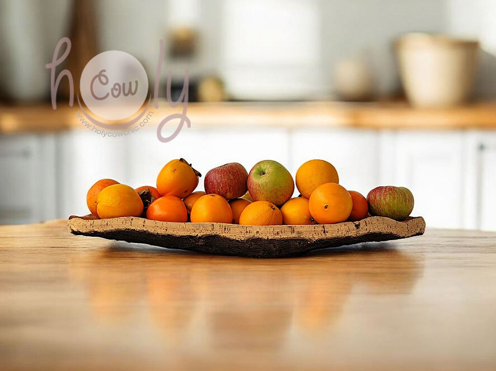 Eco Friendly Natural Cork Bark Bowl