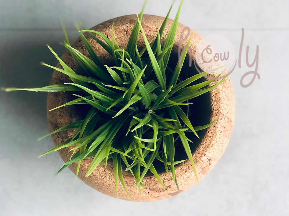 Thumbnail: Small Eco Friendly Natural Cork Planter