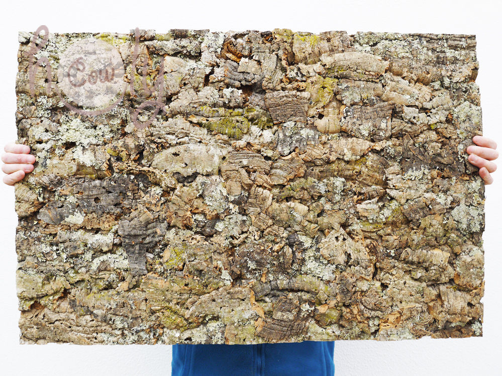 Large Eco Friendly Natural Cork Bark Tiles