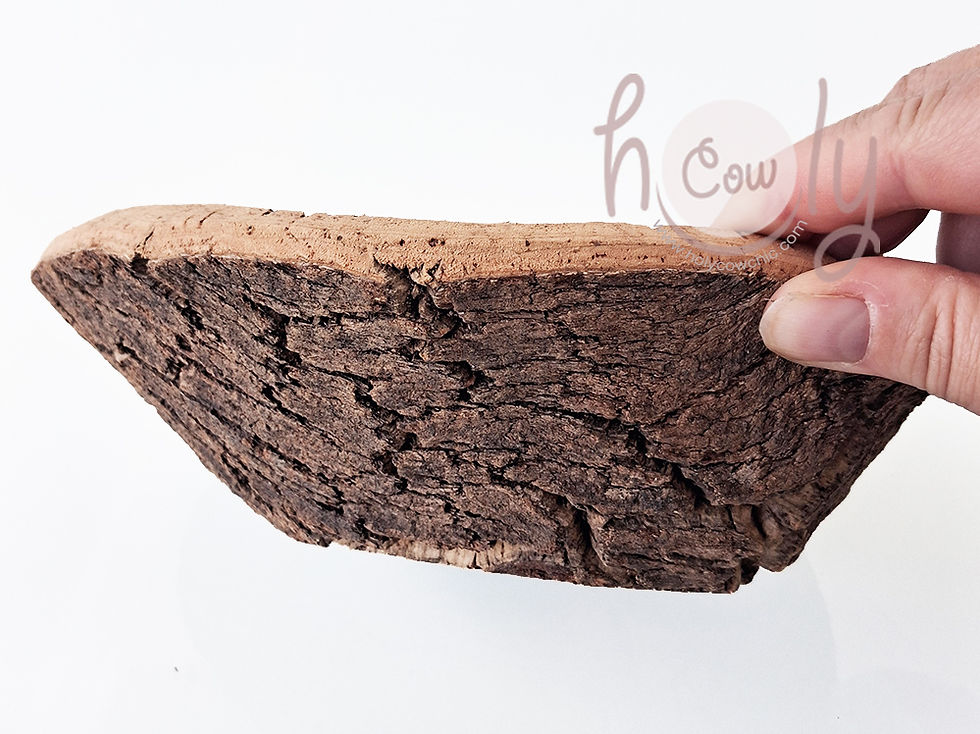 Thumbnail: Small Natural Cork Bark Bowl