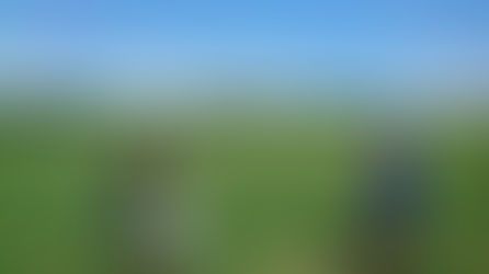 練習会2021年7月24日