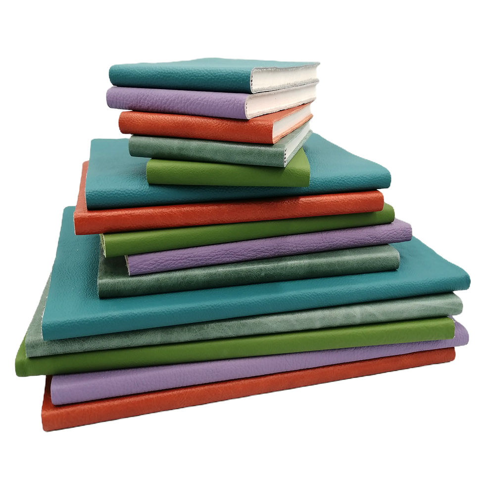 Thumbnail: Soft leather Book Bundle