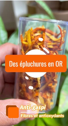 Des Épluchures en or (curcuma & gingembre :ne les jetez plus !