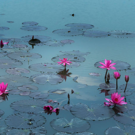 12 clés sacrées pour éveiller la conscience : un voyage entre corps, âme et traditions