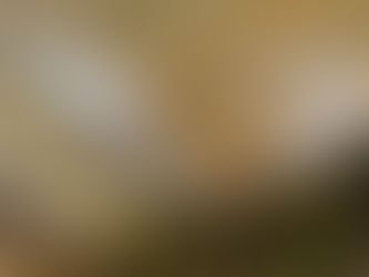 La révélation aux autres : contrainte ou libération ?