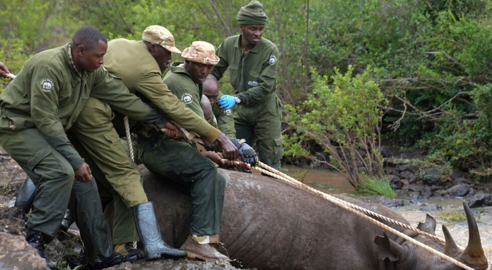 Conservation