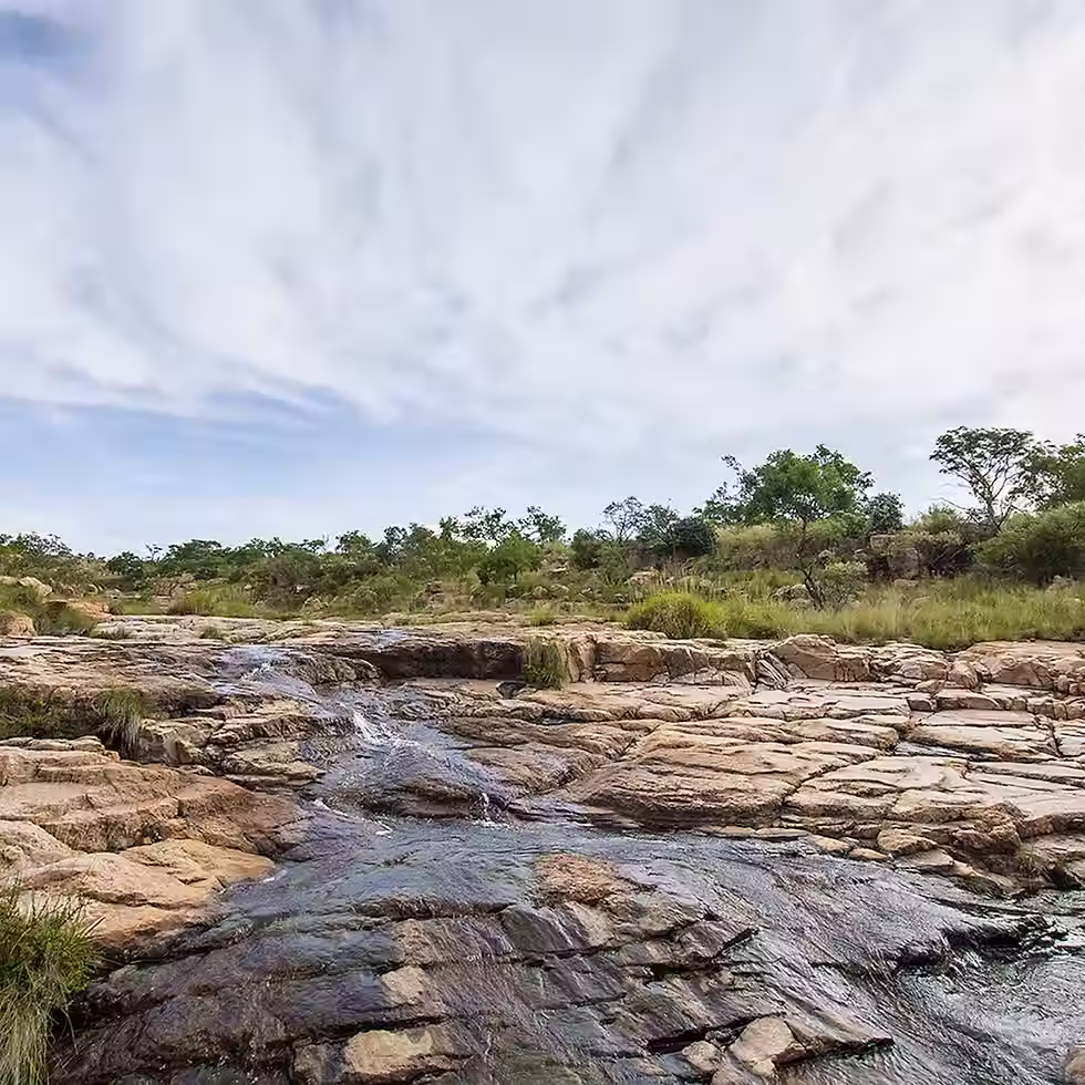 "Crystal-clear brook cascading over rocks at Miloro Place of Dreams, surrounded by lush greenery and tranquil natural scenery."