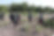 IMG_5540.jpeg