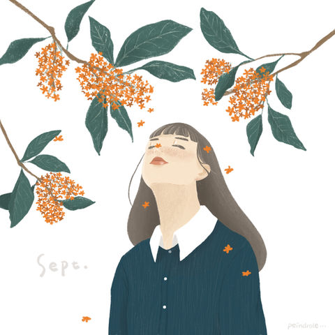 Instagram投稿イラスト