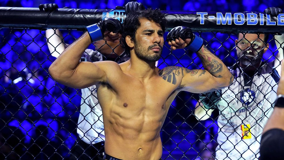 Pantoja vs Erceg at UFC 301