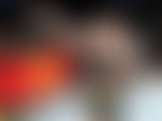 Valentina Shevchenko – Dominating Title Reign and Unmatched Striking Prowess